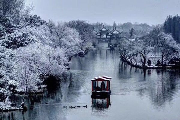 揚州虎豹雪景